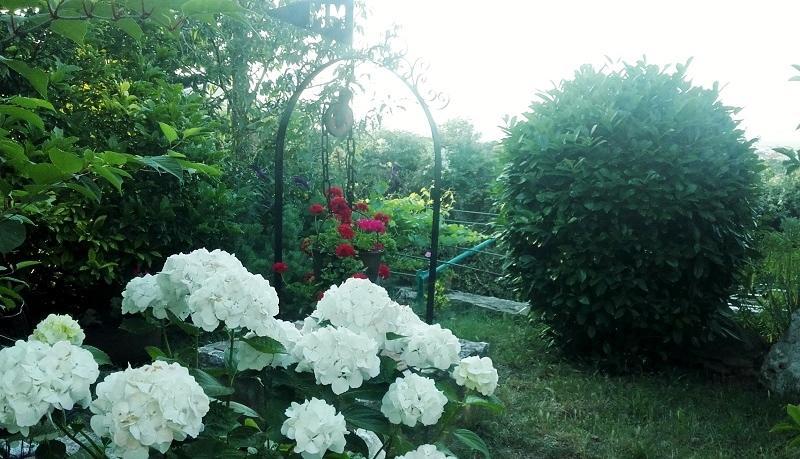 Guesthouse Sea View Pula Zewnętrze zdjęcie